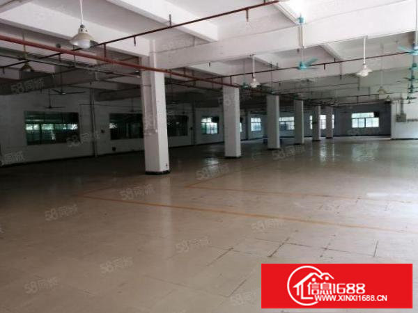 新木低碳产业园4000平方标准厂房出租一楼仓库招租