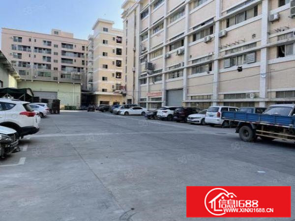 大朗靠松山湖原房东带红本1楼6.5米高900平标准厂房出租