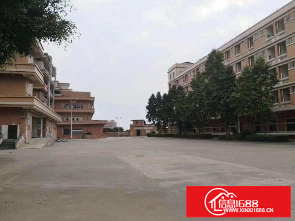 黄江胜前岗新出国有土地带消防33000平方厂房出租