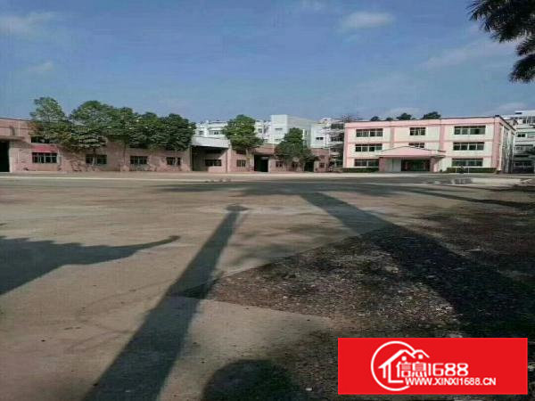 凤岗镇超靓钢构独院厂房14300平方米招租，可分租