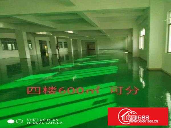 长安镇出租450平350平300平1100平600平厂房可分