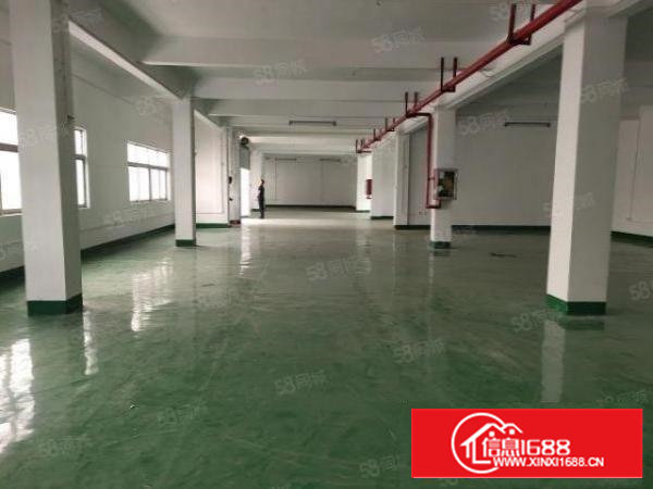 西乡鹤州，洲石路旁，原房东一楼660平办公仓库出租，水电到位