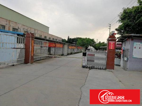 清溪独门独院6000一楼7米带5t行车现成办公装修