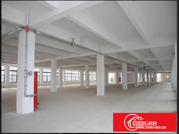 凤岗三联标准一楼2600平方厂房出租高6.5米