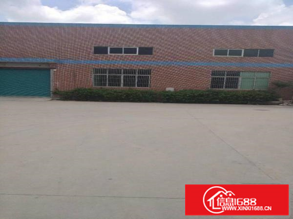 新圩一手房东独院钢构厂房1105平方