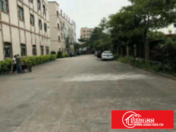 万江简沙洲(现成装修)标准一楼1500平方招租