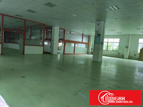 坂田新出精装一楼三楼各1350平