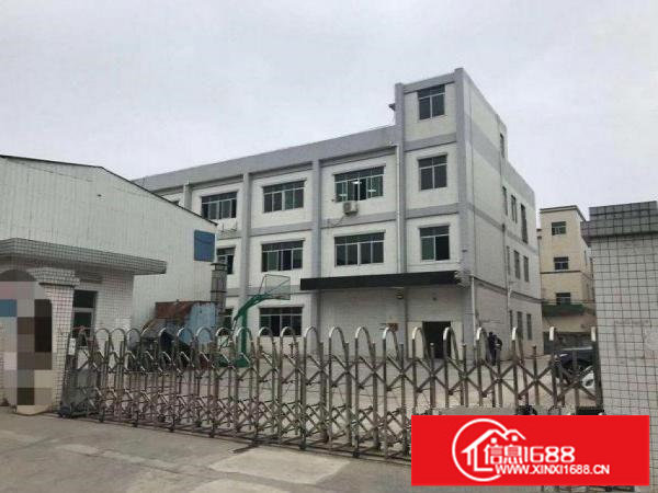 横岗沙荷路一手房东出租，独院厂房4000平，无公摊，配备宿舍