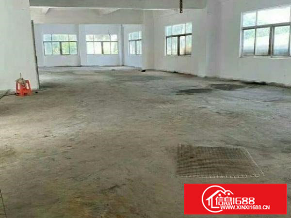 近松山湖独门独院厂房