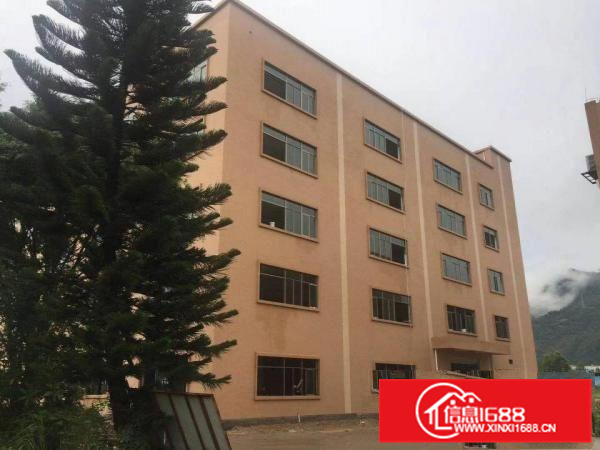 全新原房东独门独院标准厂房出租