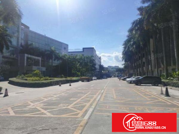 龙华清湖红本工业园区楼上整层4800平带有消防喷淋可分租