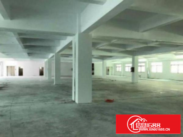 万江周边1出租5001500、2000平方出租