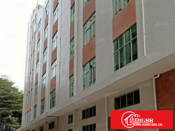 官井头全新标准厂房700平米一楼6米高消防证件齐全可办理环评