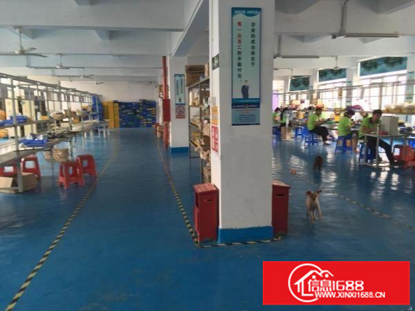 龙岗南通道新出独院厂房5000平米业主直租可分租