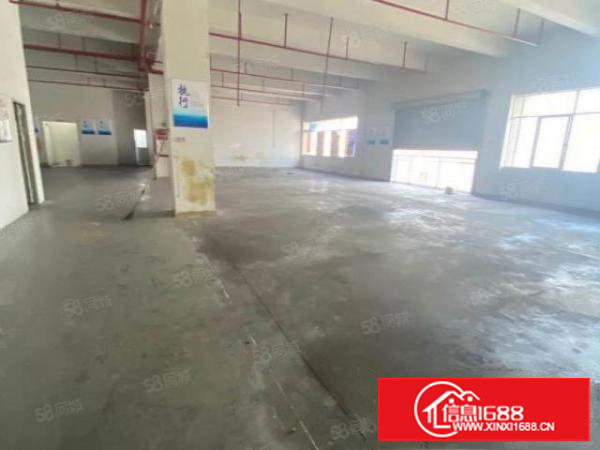 塘厦桥陇标准厂房6楼1000平，现成办公室，消防栓齐全