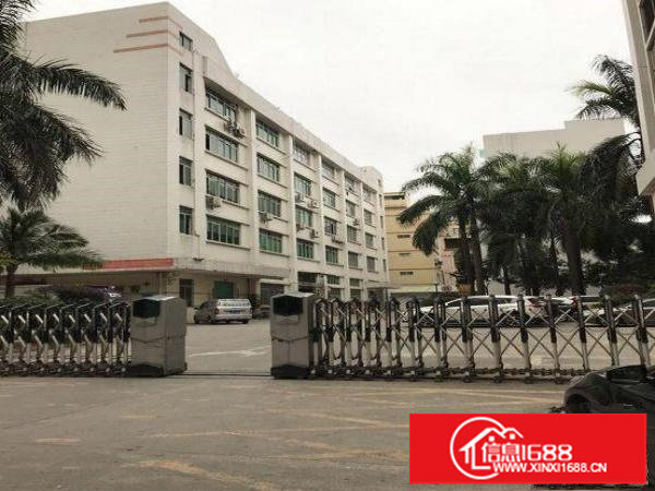 坂田原业主厂房5000平出租500平起可分租