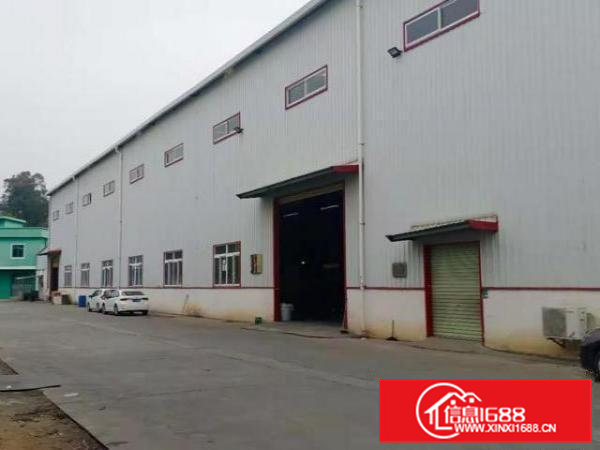 大岭山原房东钢结构厂房出租价格便宜厂房高度9m