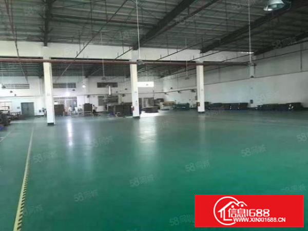 茶山原房东单一层厂房1600方出租