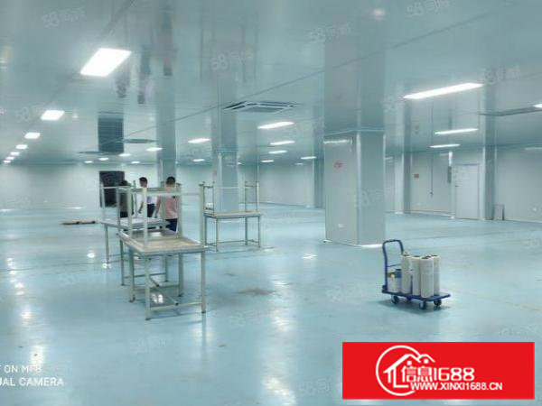 青皇新出九成新无尘车间2780，内部隔间大，急租。