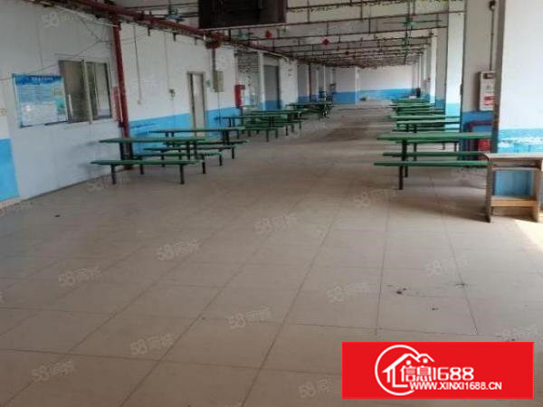 长安沙头村建安路800平米二楼办公仓库厂房业主便宜直租