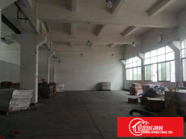 清溪渔樑围村标准1楼1000平方！带牛角！可装行车