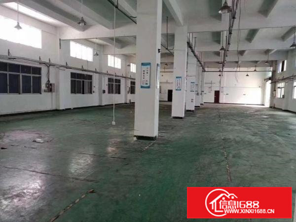 常平|新出原房东标准独院厂房6500平方米