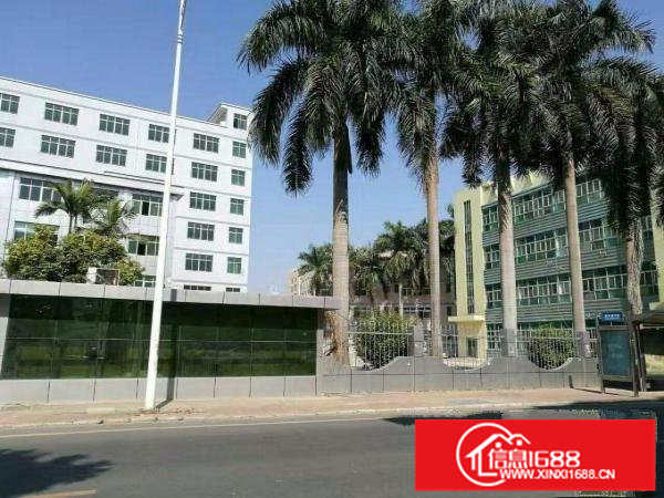 龙岗坪地独门独院厂房院子大适合做电子贸易研发