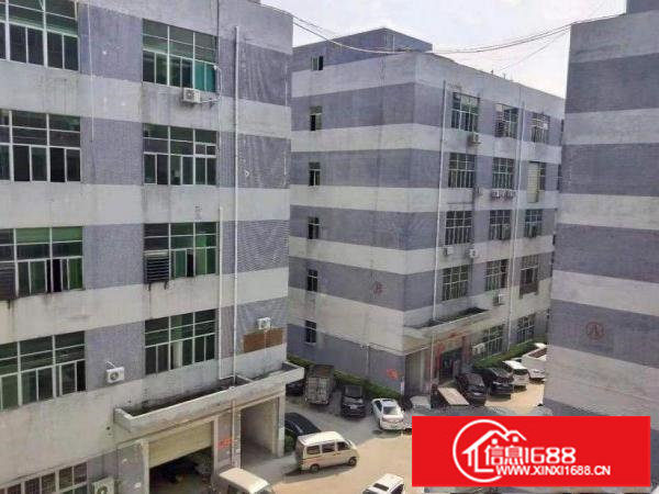 坂田坂雪岗大道新房源！厂房380平方便宜出租，使用率高