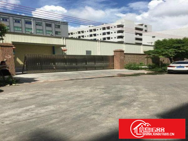 房东直租！实际面积！龙眼工业区1600平豪装1楼厂房出租！