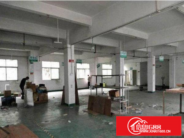 镇隆新出2700平米经典小独院厂房招租中