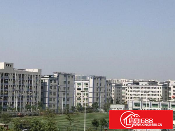 坂田稳定求胜园区，160至2500平，企业复工首选，条件好谈