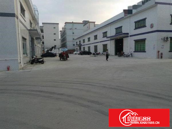 独院钢构厂房出租国有土地可办环评配宿舍可分租