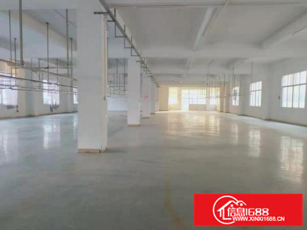 桥头李屋主干道边上原房东独院厂房4500平米出租，大小分租