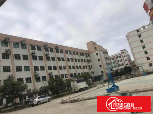 新圩约场原房东一楼1200平带现成装修厂房出租