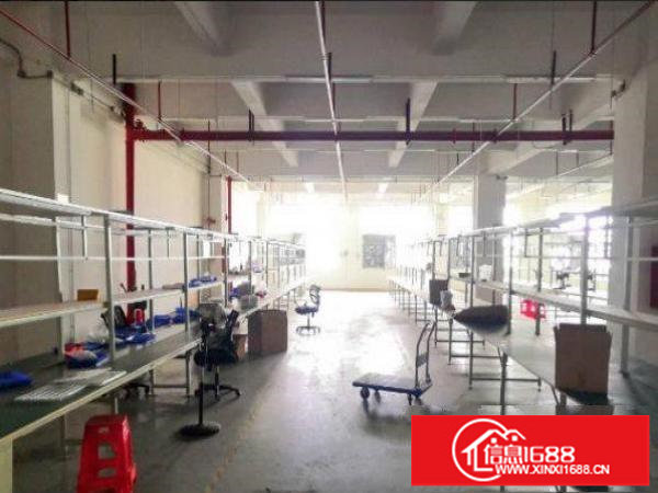 平湖富民工业区二楼全新装修1900平米