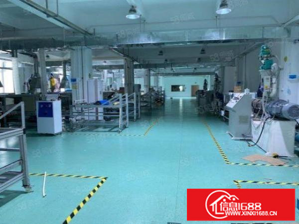 观澜松元精装修厂房招租二楼整层2400平方有电梯形象好