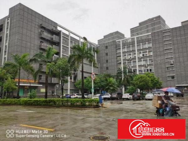 大浪办公室90平110平120平140平200平260平出租