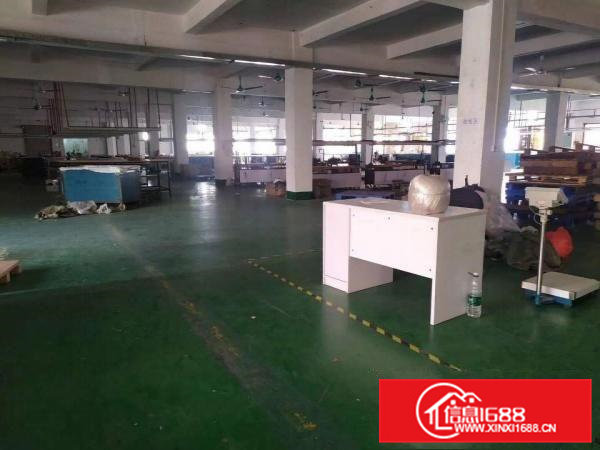 常平大京九标准独门独院总面积4800平出租