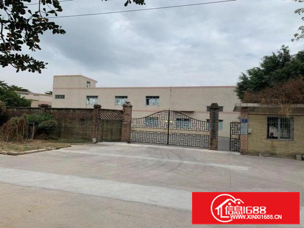 桥头化工厂出租带牌照可装反应釜