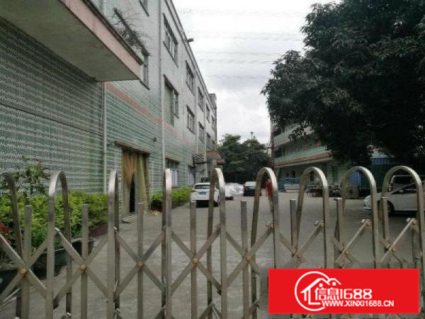 清溪渔梁围独院三层5500平米