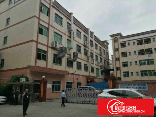 龙岗宝龙高新产业区红本50000平米厂房招租可分