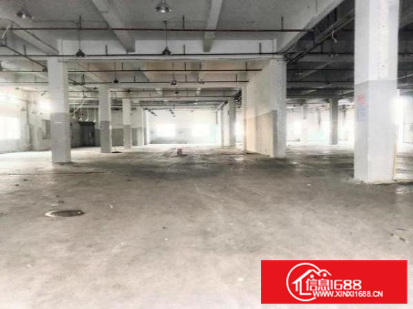 新出高埗独门独院9678平方，2上环城。