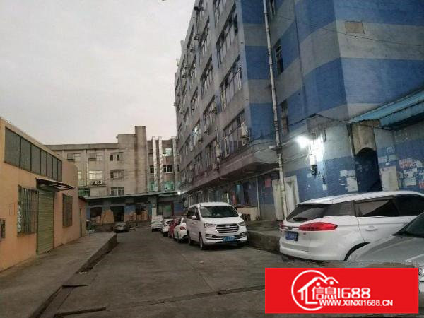 横岗地铁站出口处可做公寓的宿舍楼整栋包租