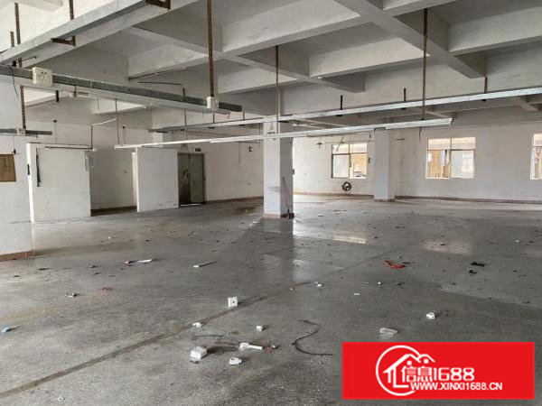 虎门白沙实际面积一楼700方厂房18元一平方出租