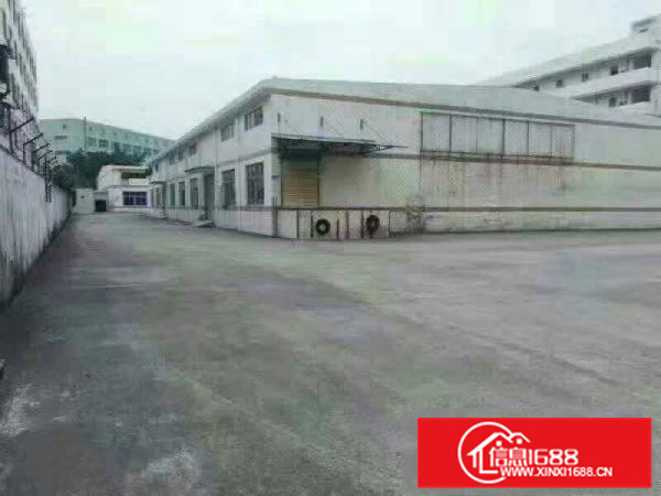 惠阳秋长西湖原房东钢构厂房5000平米，11元招租