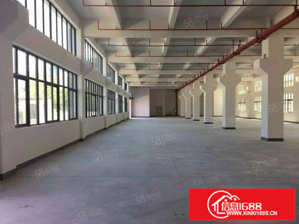 大朗镇大型工业园新出一楼2000平，带精装修办公室