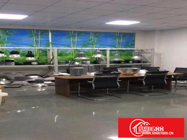 大朗镇独门独院厂房出租原房东