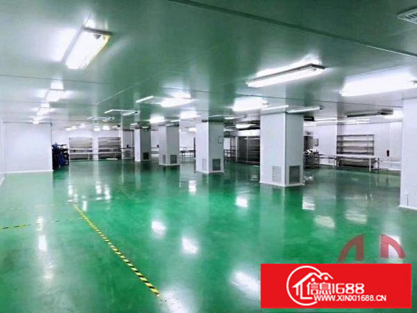 横岗新出无尘车间原房东实际面积