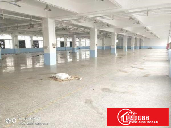 主干道上独院厂房9000平米，每层1850，可分600平起租