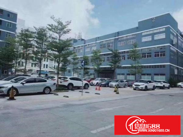 福永和平楼上1900平方精装修。